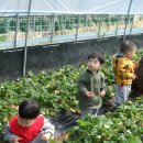 안태농장 이미지