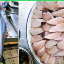 수지맛다 이미지