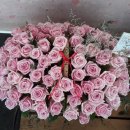 김해꽃식물원 이미지