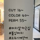 에이오살롱 네이버블로그