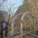 울진정비 | ⛰️울진 가볼만한 산, 응봉산 등산로 후기｜원탕과 세계 유명 다리