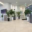 동탄주치과의원 이미지