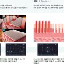 시즈의원 이미지