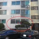 덕진-112 이미지