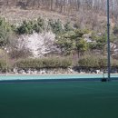 산본IC체육공원 이미지