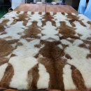 영주 수선 이미지