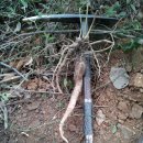 산과바다사이 이미지