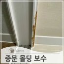 노원-현장-1010 | 중문몰딩 물어 뜯은 곳 보수