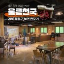 울릉천국아트센터 | 2021 울릉도여행 : 울릉천국 아트센터 커피 한잔