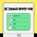 밀라노짐 이미지