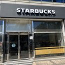 수원역 스타벅스 수원매산점 후기 / 블루베리 수플레 / 치즈 포크 커틀릿 샌드위치