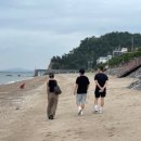 제부도 근린공원1 이미지