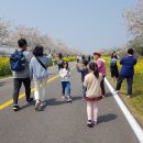 꽃길만 걷장 이미지