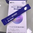 뷰티바 쉐이핑번 | 단백질 아미노산 보충제 | 운동 필수템