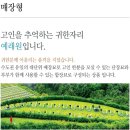 탑동석물 네이버블로그