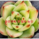 철화농장 이미지