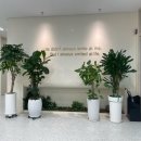 한울정신건강의학과의원 이미지