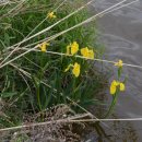 창포산업 이미지