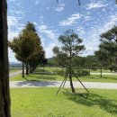 합천읍_영창리(배출하우스)_3 | IC 출발] 29개월 아이와 가을 나들이! 대구·경북 1시간 30분 이내 추천 3곳 (주차/운영·가격 핵심 정리)