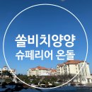 쏠비치양양 슈페리어 온돌 산 뷰 사진 &amp; 부대시설 가격표