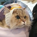 하린메디칼 이미지