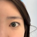 가자 | 부천시청역 속눈썹 연장 잘하는 곳 '오마이뮤즈' 유목민이 정착한 LED연장 후기