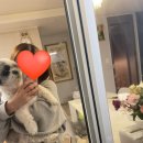 동암동물병원 이미지