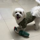 탐나는 반찬 레시피 | #.2026_1월 다시 시작해 보는 평범한 하루들