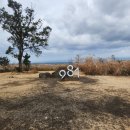 레이싱 | 981파크 카트레이싱 후기, 겨울 제주여행 액티비티 방문 전 알아야 할 3가지