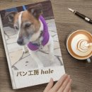 개빵공방 이미지