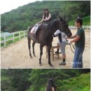 산새목장 Daum카페