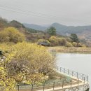 시목마을회관 | 구례 산수유마을 트레킹, 계척마을 산수유시목지 &amp; 현천마을 다녀왔지롱 ★