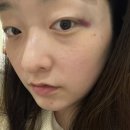 호야여행사