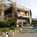 소나무풍경펜션 이미지