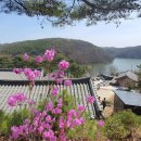 대원정사 이미지