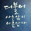 보고보고 이미지