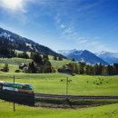 뭉실뭉실 이미지