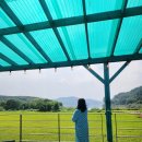 가협길 | 안성 가볼만한곳 안성 금광저수지 카페 논뷰 이뻐요