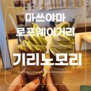 타고 마쓰야마성 가기. 로프웨이 거리 현지인들 줄 서는 기리노모리 과자 공방. 말차모찌,아이스크림 후기