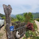 정희네 들꽃이야기 이미지