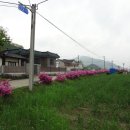 이동마을회관 이미지