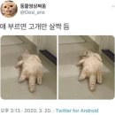 프리티대리점