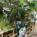 어반스타셀프타운 | 스타필드운정 파스타 맛집 어반플랜트 후기(호불호 갈리는 깻잎새우파스타)