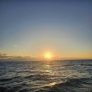 함초롬치과의원 이미지