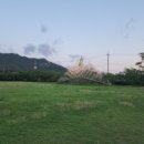 왕인농장 이미지