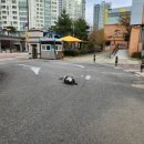 백송초등학교 이미지