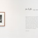 닻미술관 이미지