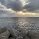 라라보목 이미지