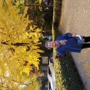 부림동 행정복지센터 이미지