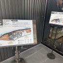 소울 로스팅랩 | 내돈내산, 솔직후기, 소울로스터리, 춘천카페, 대형카페, 정보